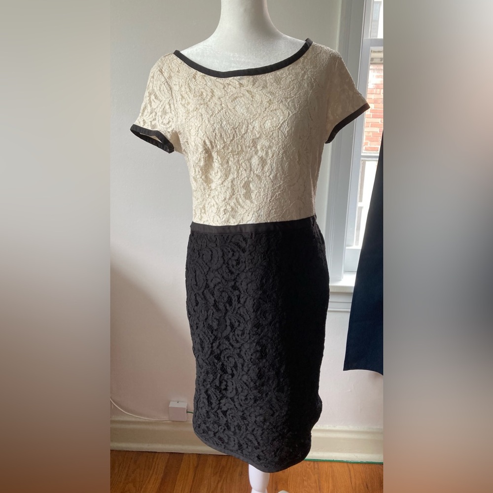 Waist 31” Ann Taylor Two-Tone Lace Knee-Length Sheath Dress Cream & Black 10